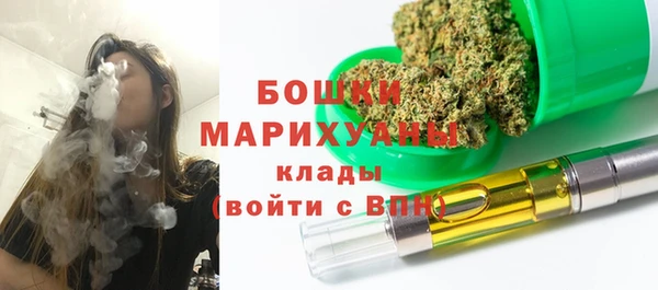 дживик Арсеньев