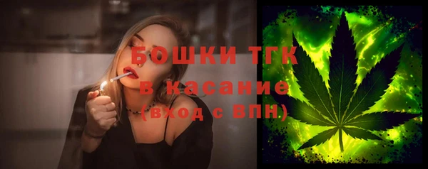 дживик Арсеньев