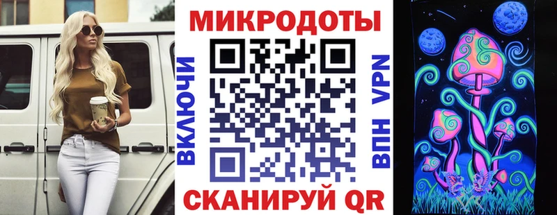 как найти закладки  Плёс  Псилоцибиновые грибы мицелий 